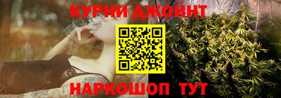мдпв Гай