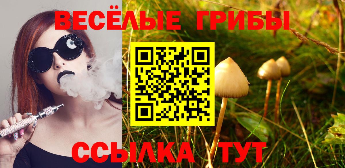 Нефтеюганск  Псилоцибиновые грибы прущие грибы  Галлюциногенные грибы мицелий  Вход с VPN 